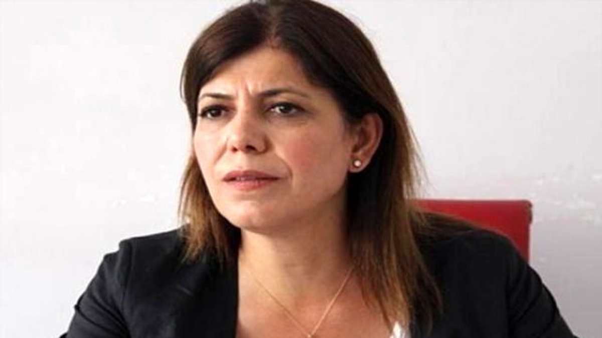 HDP\'li Beştaş: Ak Parti\'nin Önerisi Anayasa\'ya Aykırıdır