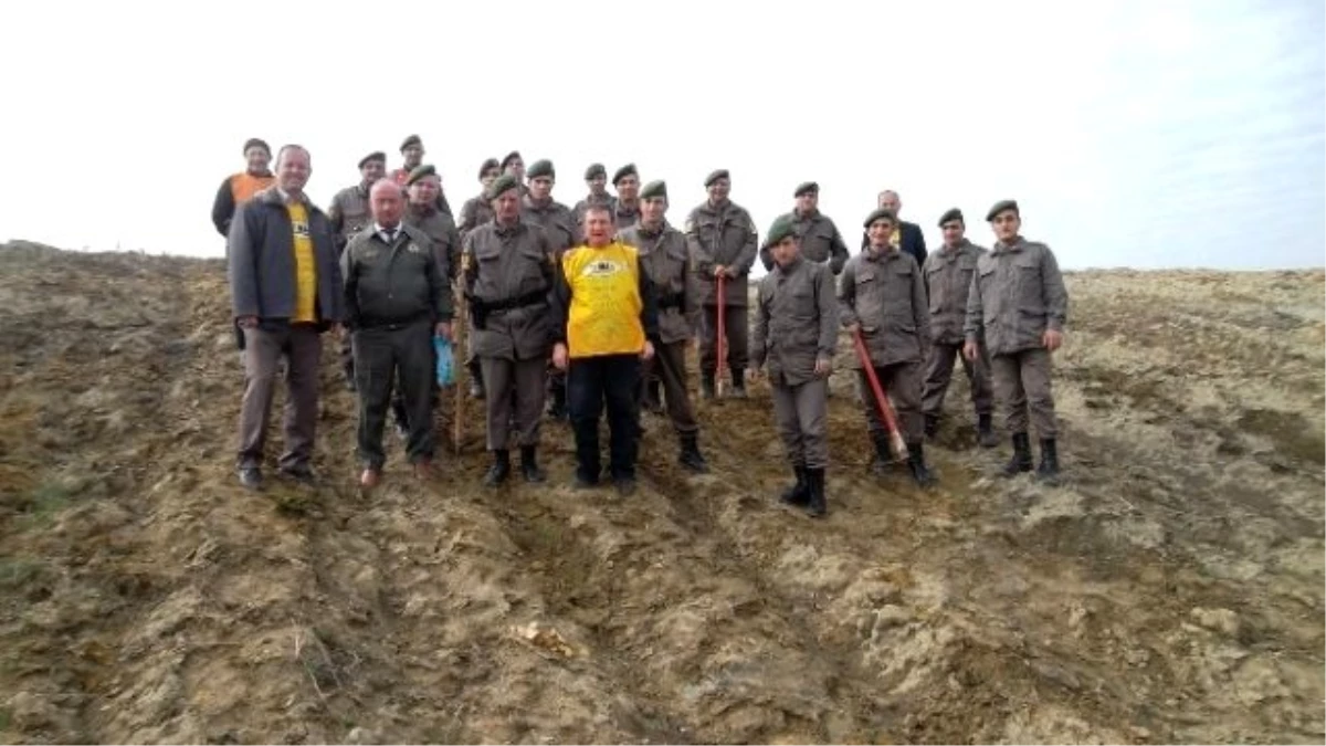 Jandarma ve Tema Vakfı Gönüllüleri 100 Fidanı Toprakla Buluşturdu
