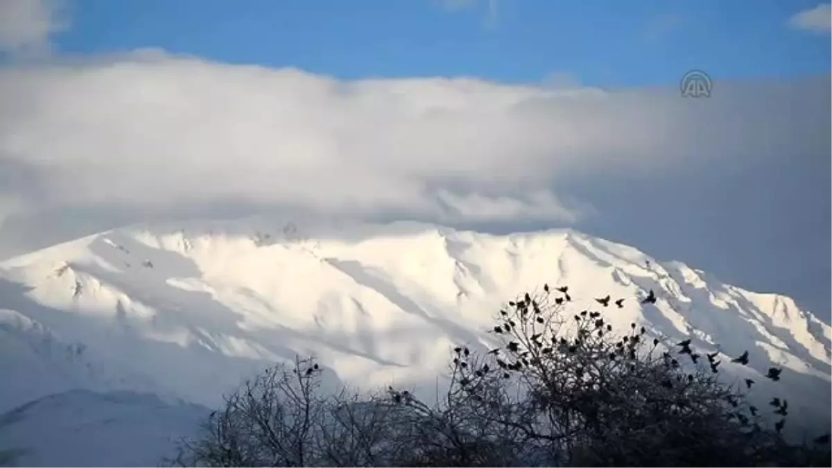 Kar Yağışı Doğayı Beyaza Bürüdü