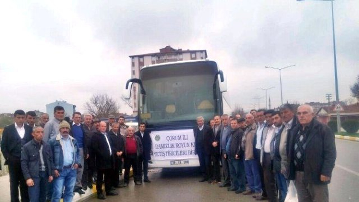 Koyun ve Keçi Birliği\'nden Konya Çıkarması