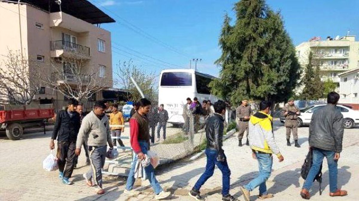Söke\'de 50 Mülteci Yakalandı
