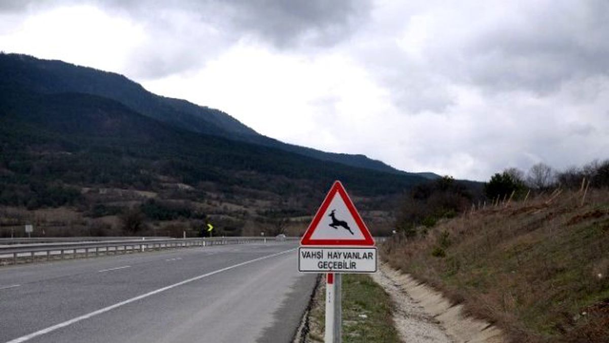 Yabani Hayvanlar İçin Karayollarına İkaz Tabelaları Yerleştirildi