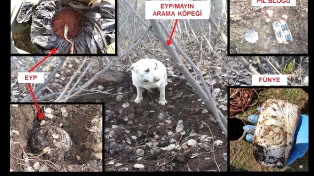 Bitlis\'te El Yapımı Patlayıcı Ele Geçirildi