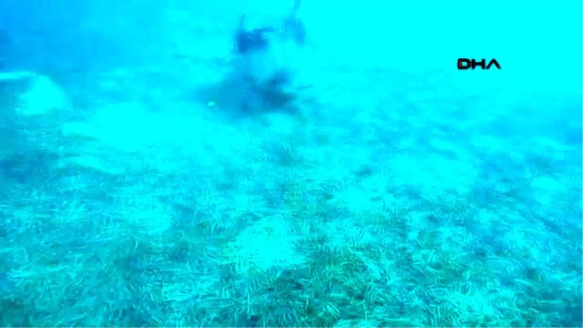 Bodrum Akyarlar\'da Deniz Dibi Temizliği Yapıldı