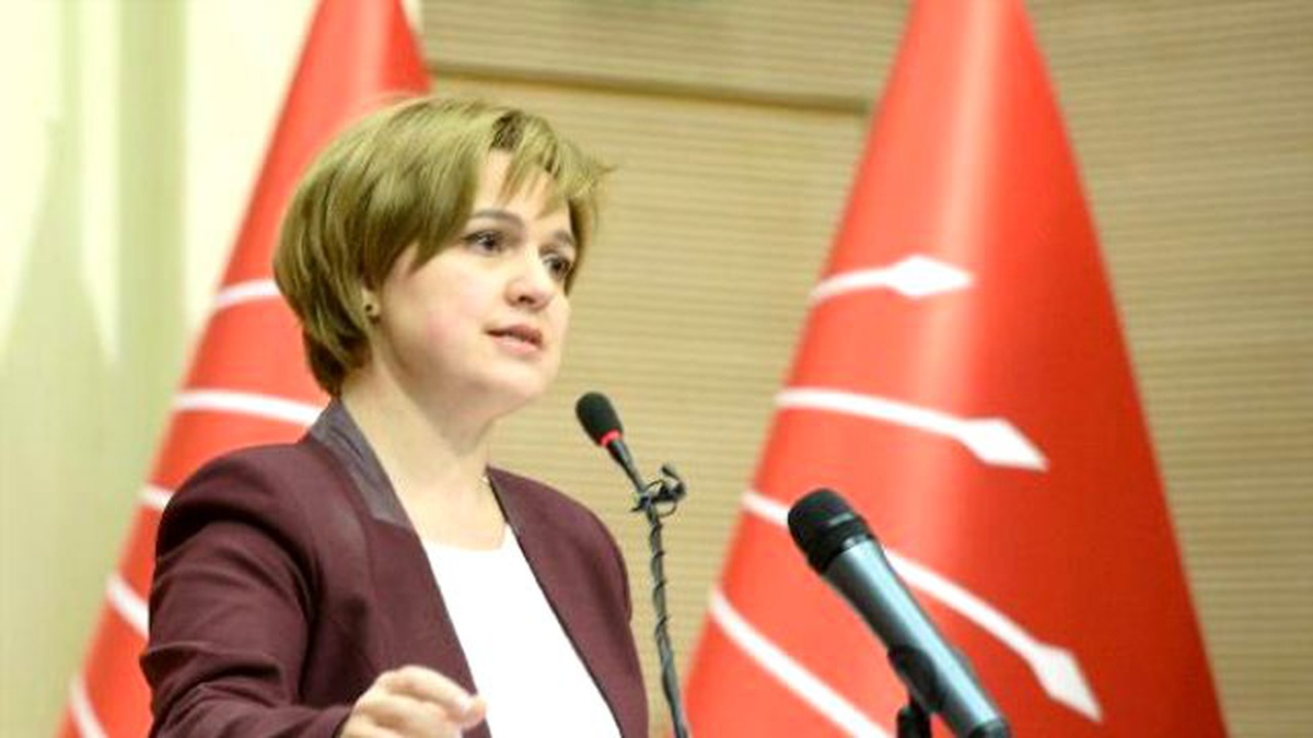 CHP\'li Böke: Aile ve Sosyal Politikalar Bakanlığı Koltuğunu Sema Ramazanoğlu Dolduramıyor (2)