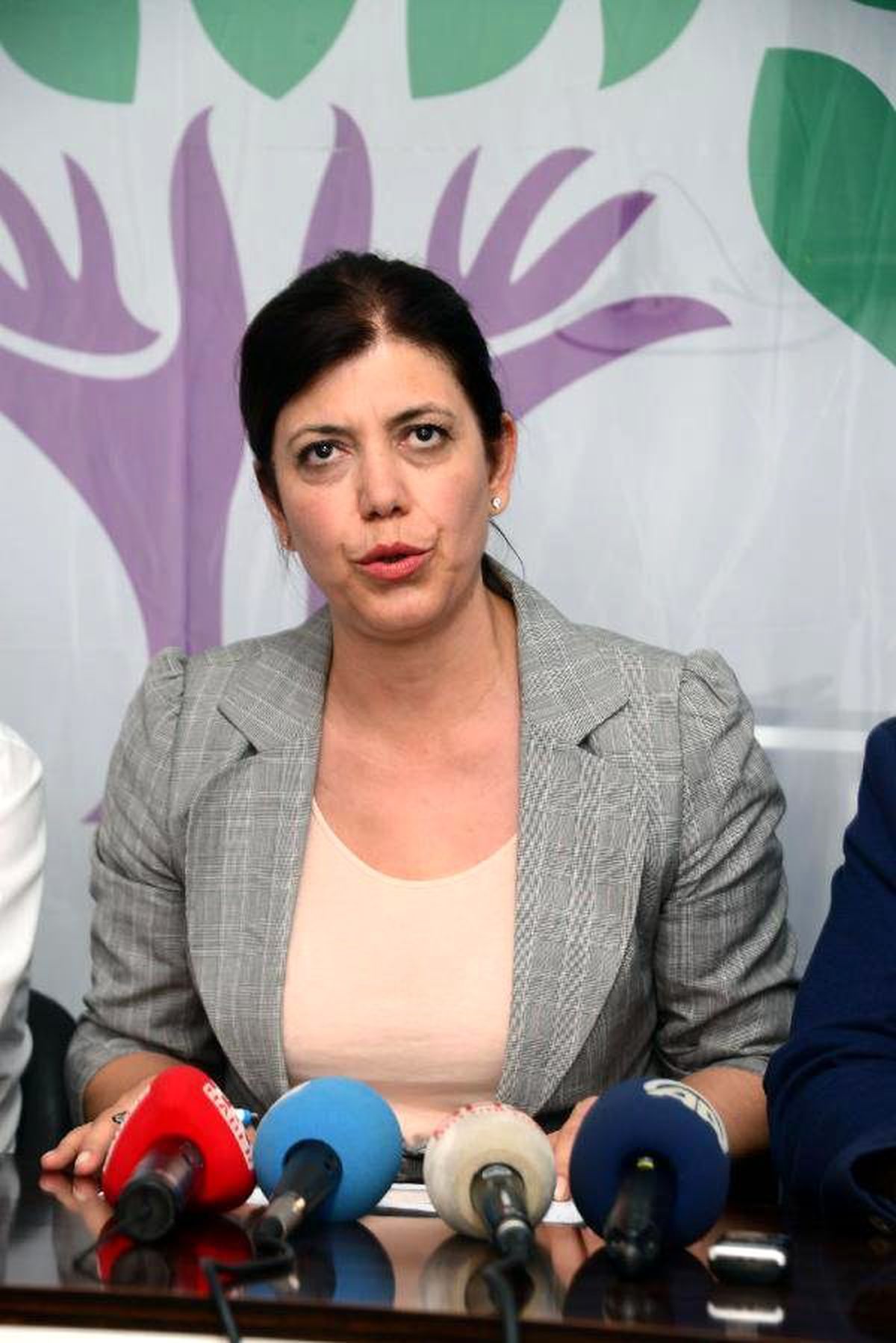 Hdp Adana Milletvekili Beştaş Açıklaması
