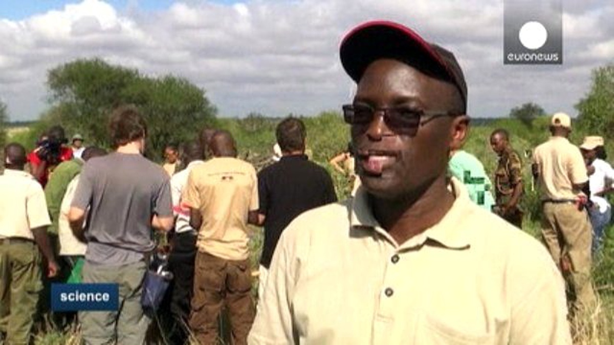 Kenya\'da Fillere Özel Yapılan Alt Geçitler