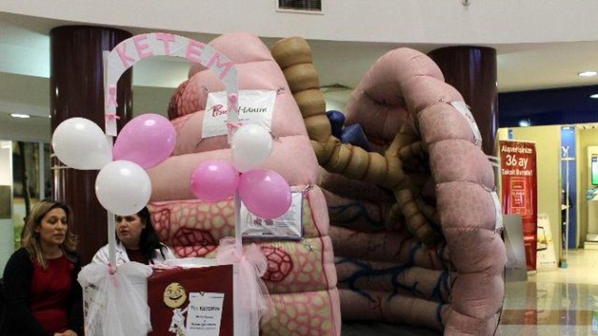 \'Koca Ciğer Projesi" Adıyaman\'da Tanıtıldı