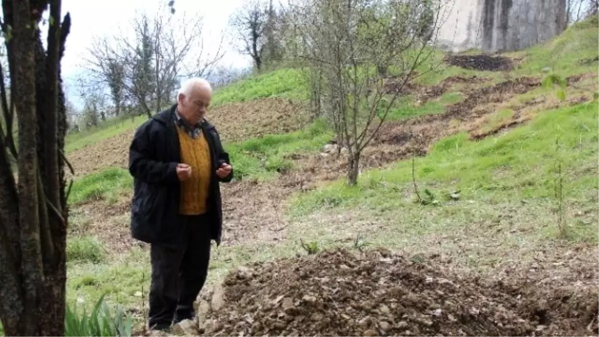 Beratcan\'ın Dedesi Damadını, Babaannesi Gelinini Suçladı