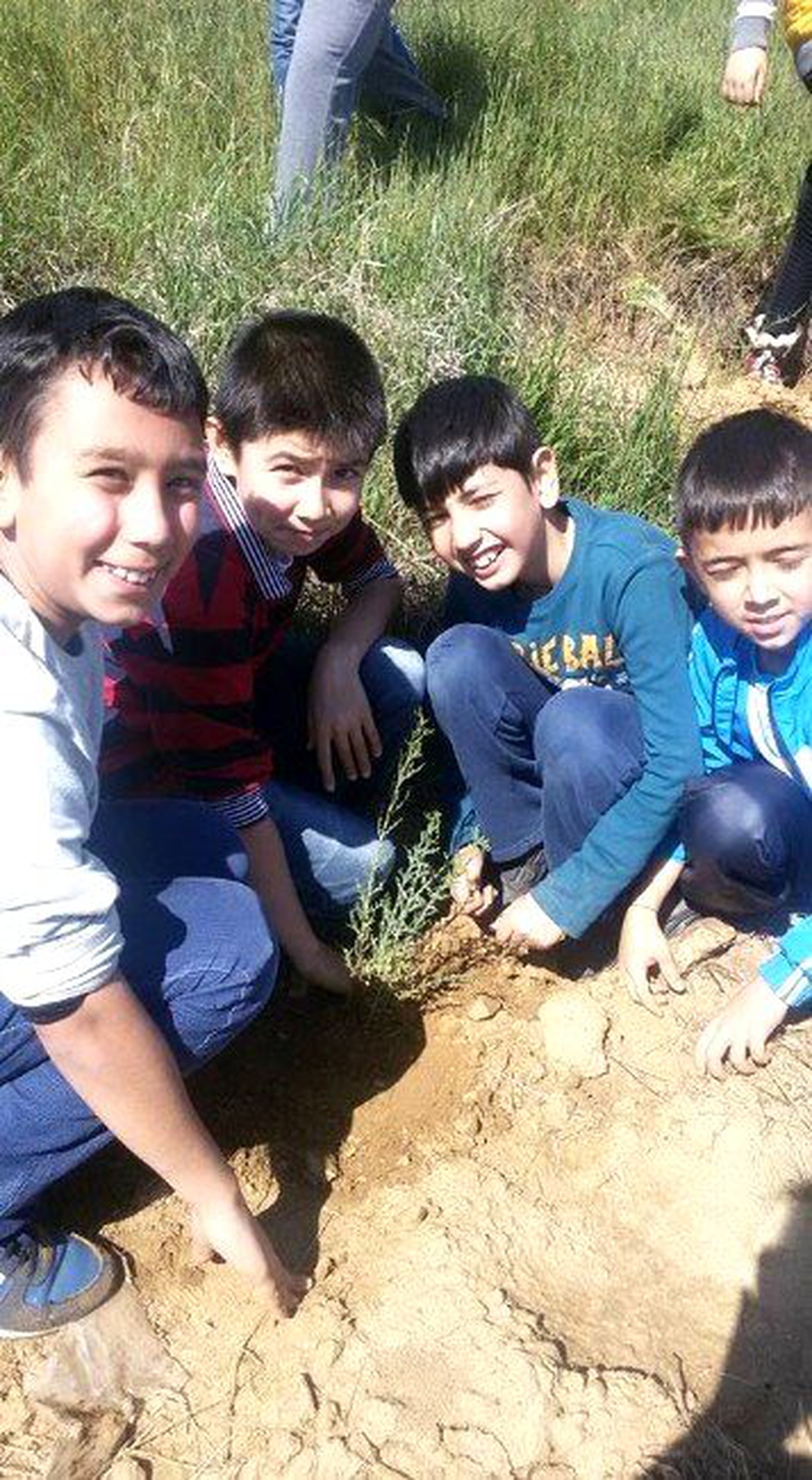 250 Öğrenci Ödemiş\'te Fidanları Toprakla Buluşturdu