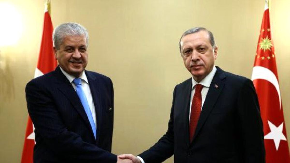 Cumhurbaşkanı Erdoğan, Cezayir ve Danimarka Başbakanı ile Görüştü