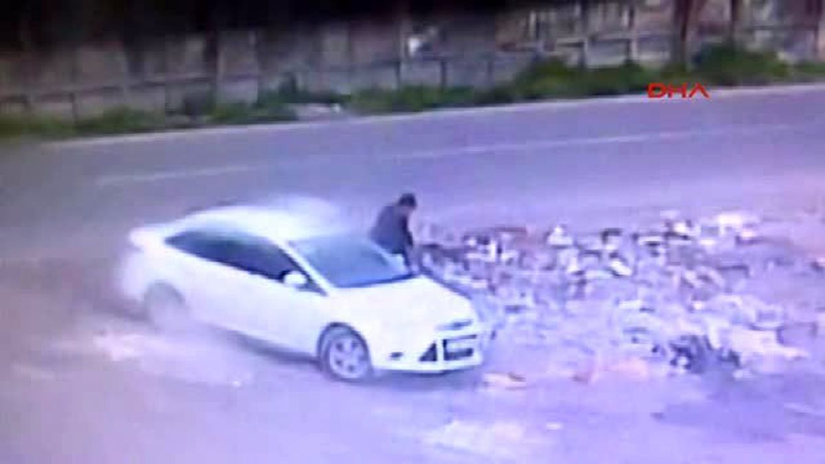Diyarbakır Polis Bu Şahsın Peşinde
