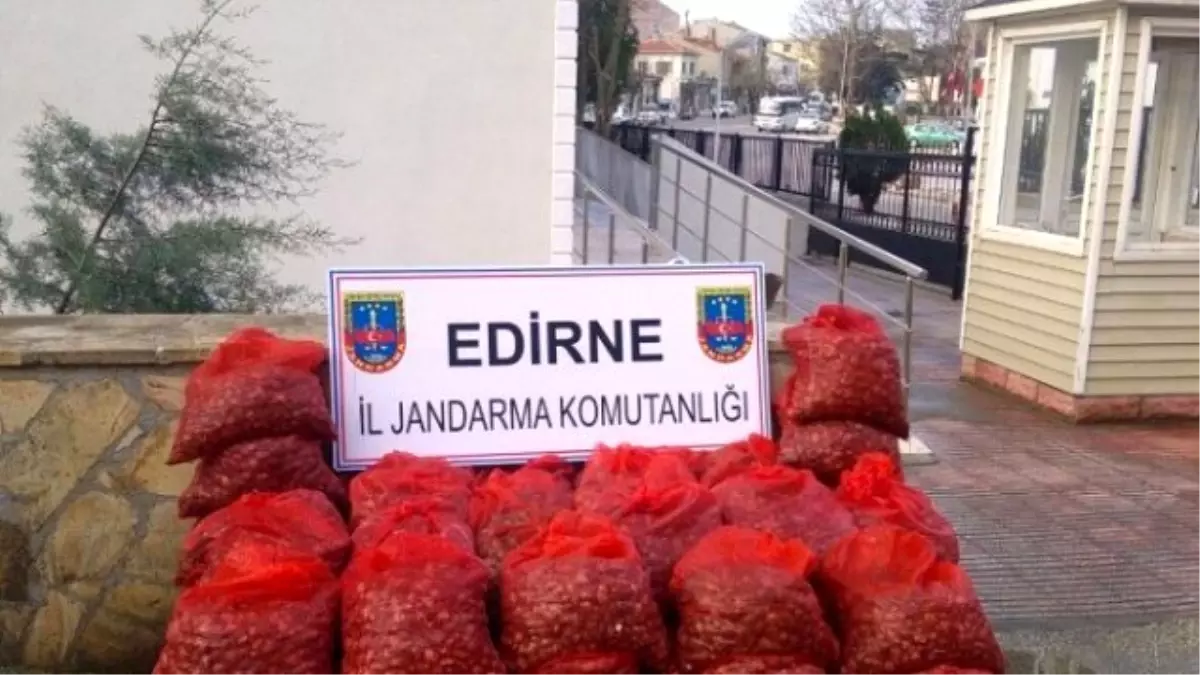 Enez\'de Midye Operasyonları Devam Ediyor