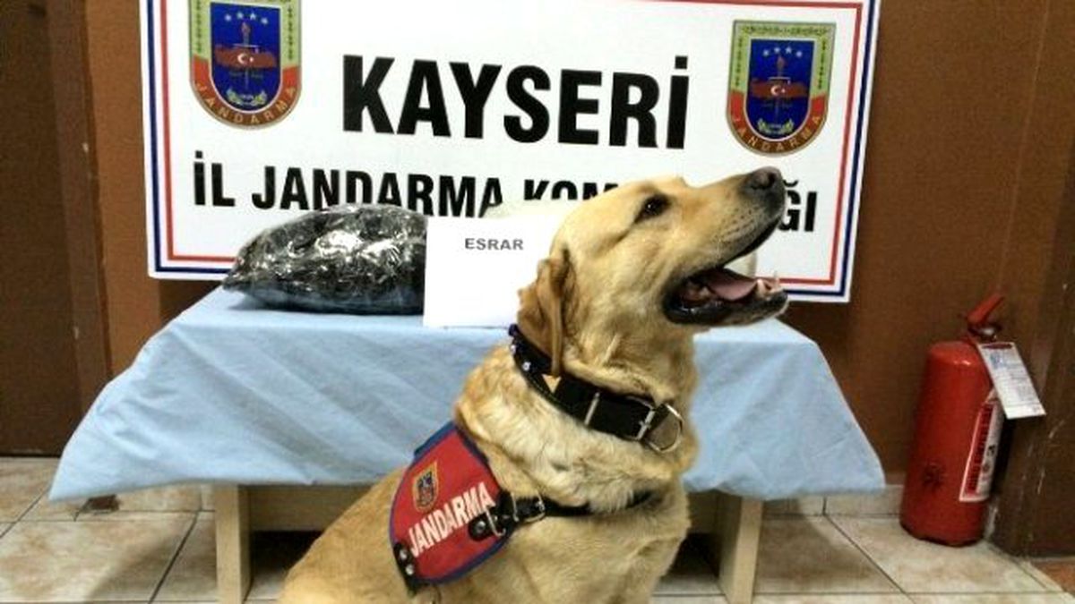 Yolcu Treninde Esrar Ele Geçirildi