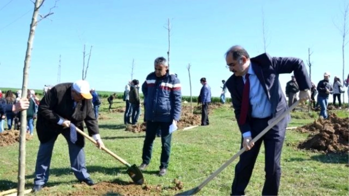 Nkü\'nün Onuncu Yıl Anısına Fidan Dikim Töreni