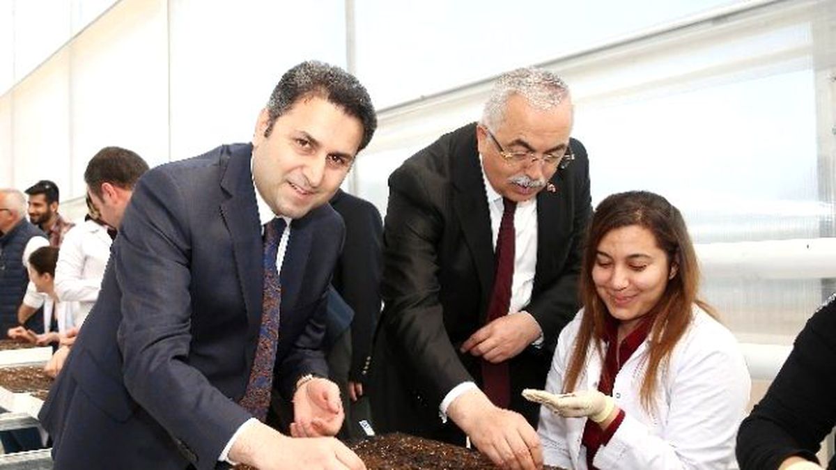 Yerli Yazılımla Yönetilebilen Sera