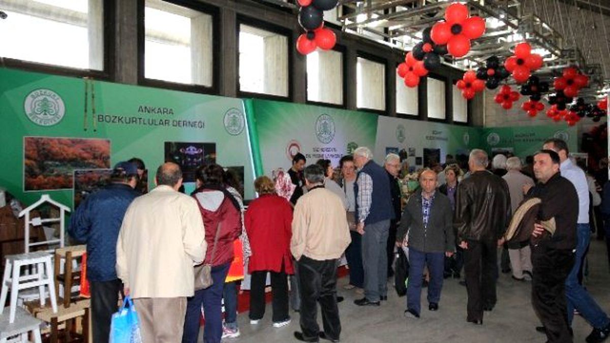 Başkentteki Bozkurt Standı Ziyaretçilerden Tam Not Aldı