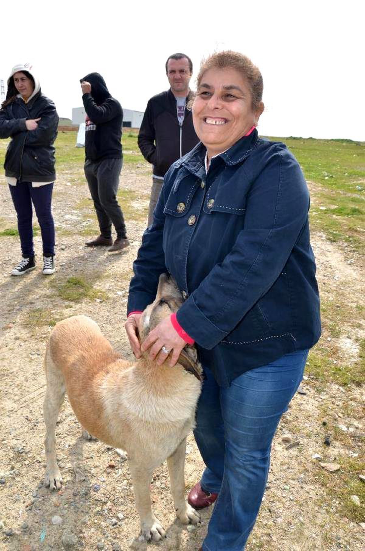 Gebze\'de Köpekler Zehirlendi