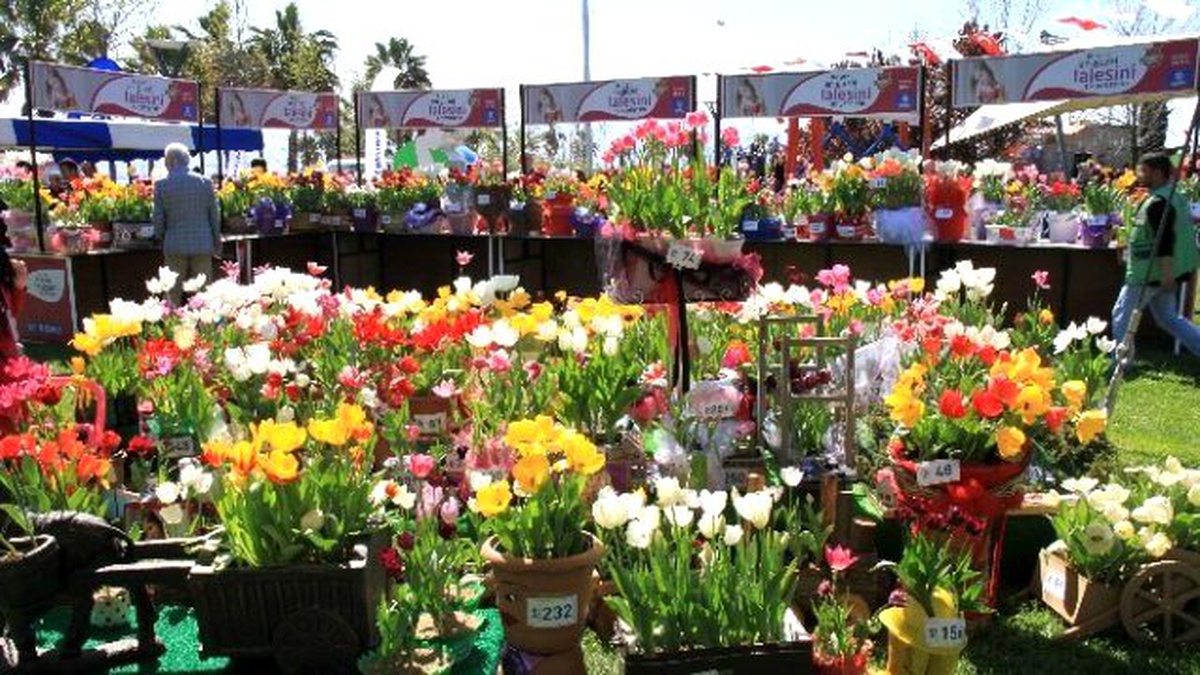 9. Kocaeli Lale Festivali Sona Erdi