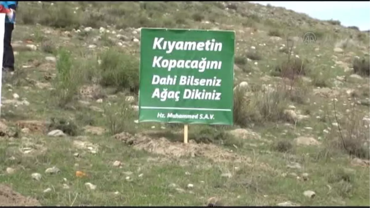 Agd Şehitler İçin Fidan Dikti