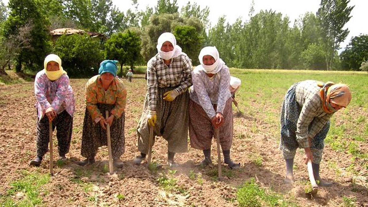 Çiftçilere "Küçük Aile İşletme Desteği" Desteği Verilecek