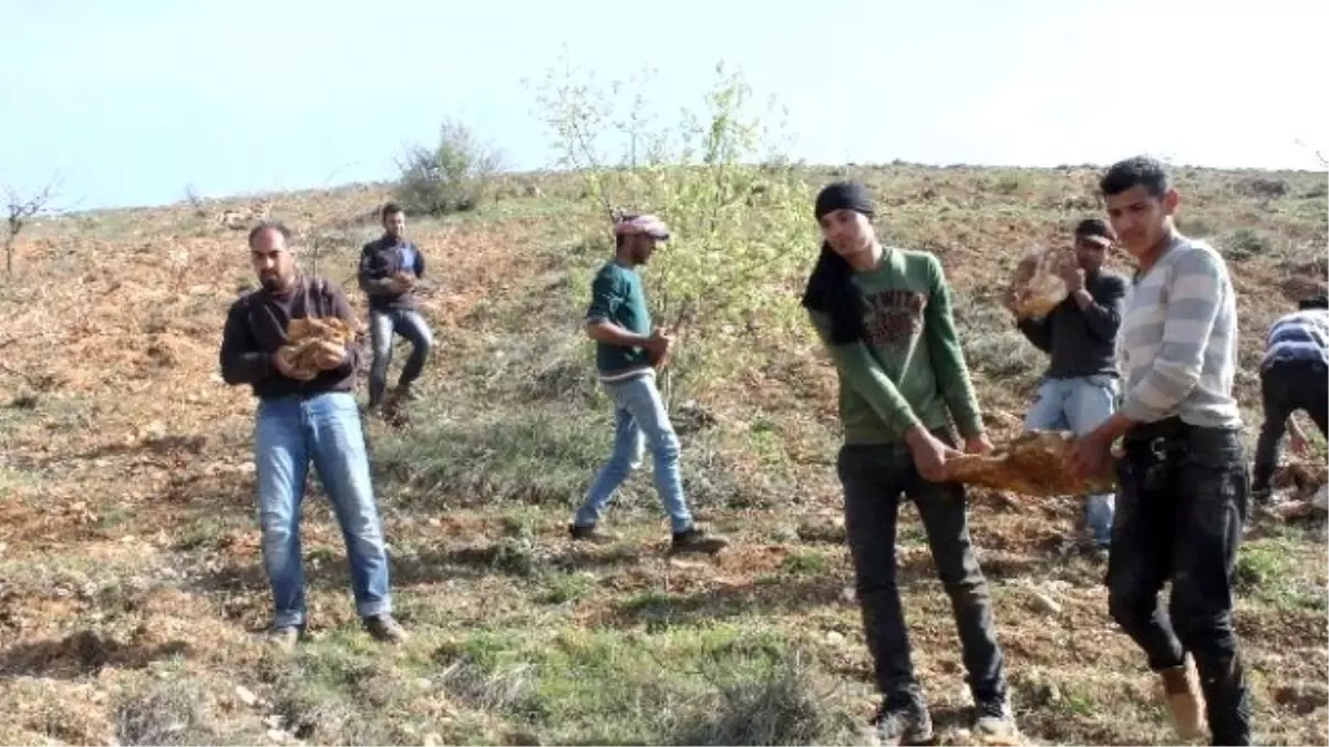 Suriyeli Gençler Ekmeğini Taştan Çıkarıyor