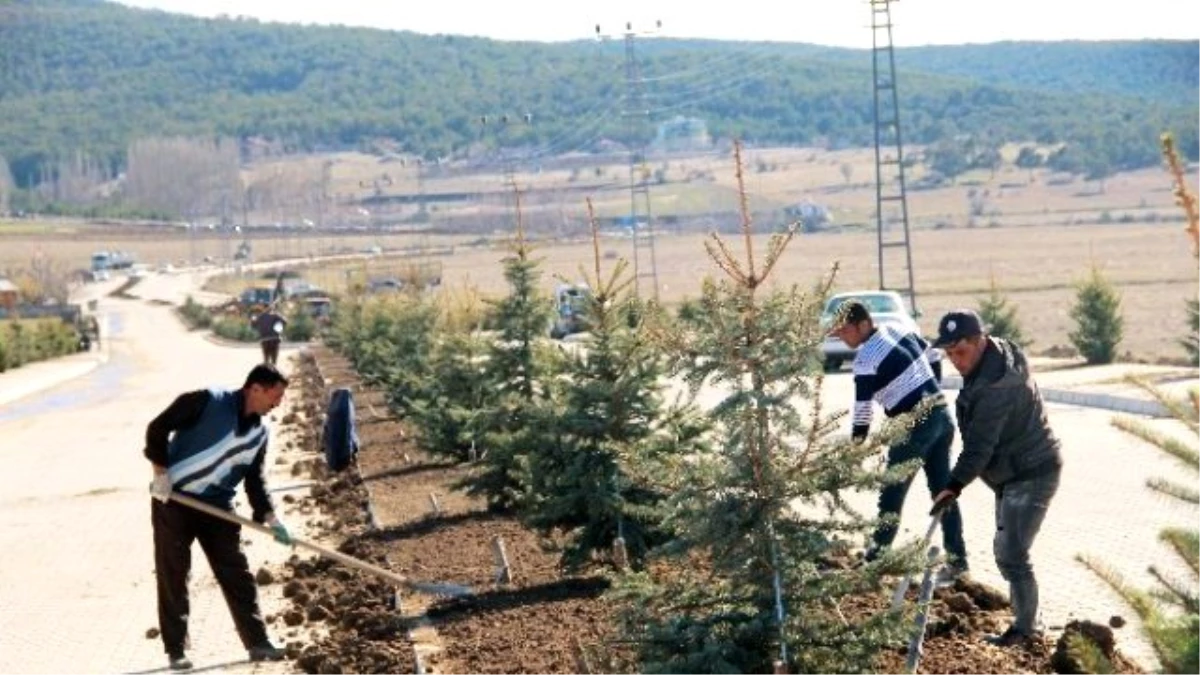 Akdağmadeni Belediyesi Yeşillendirme Çalışmalarını Aralıksız Sürdürüyor