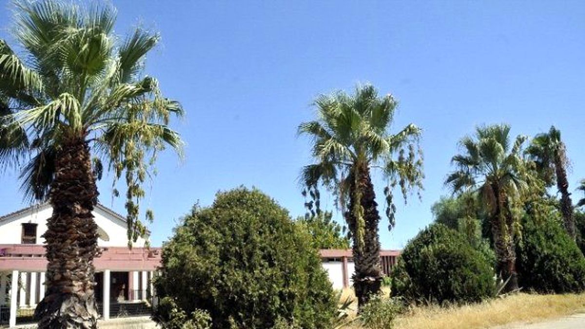 Ataş Yerleşkesini Mersin\'e Kazandırma Çalışmaları Sürüyor