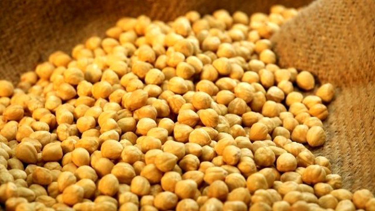 Fındık İhracatı 1.6 Milyar Doları Geçti