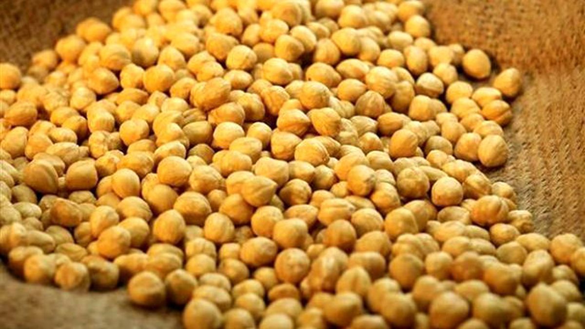Fındık İhracatı 1.6 Milyar Doları Geçti