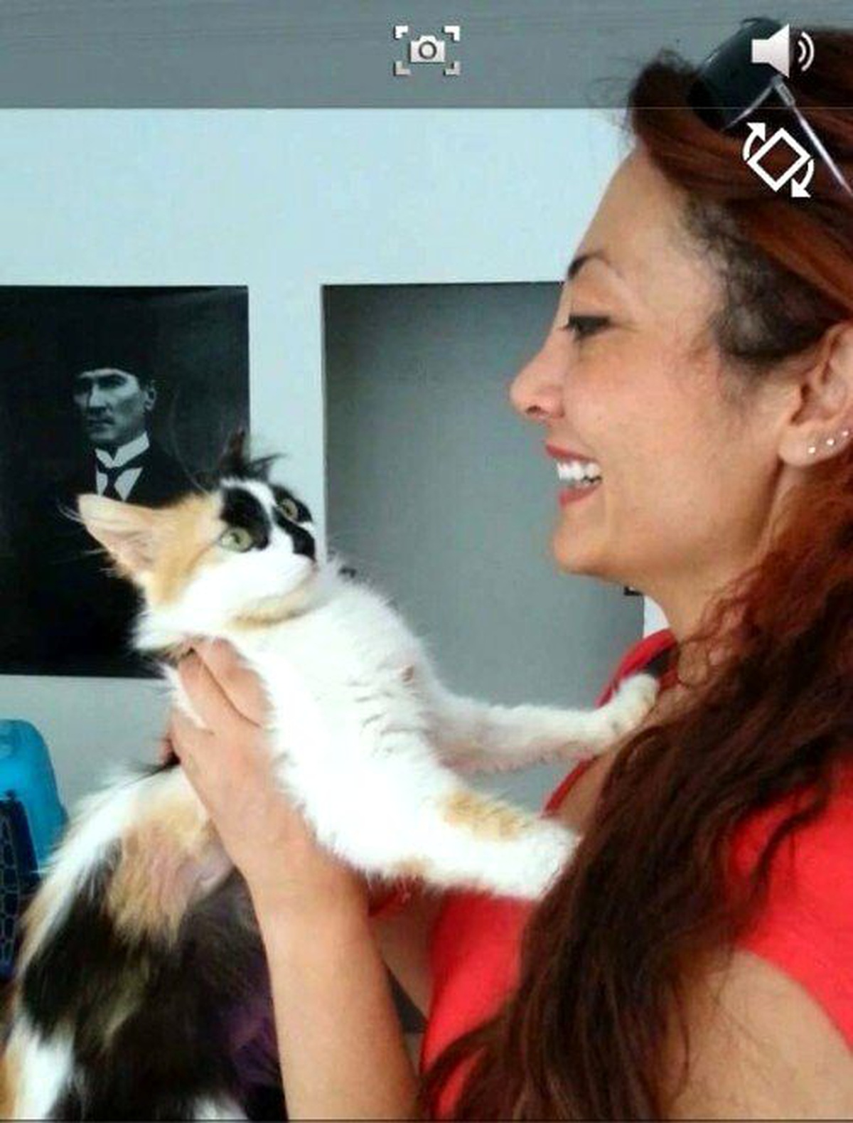 Hayvanları Koruma Derneği\'nden Yavru Kedi Açıklaması