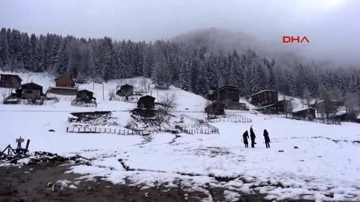 Rize\'ye Baharda Yağan Kar Çay Ürününe Zarar Verdi