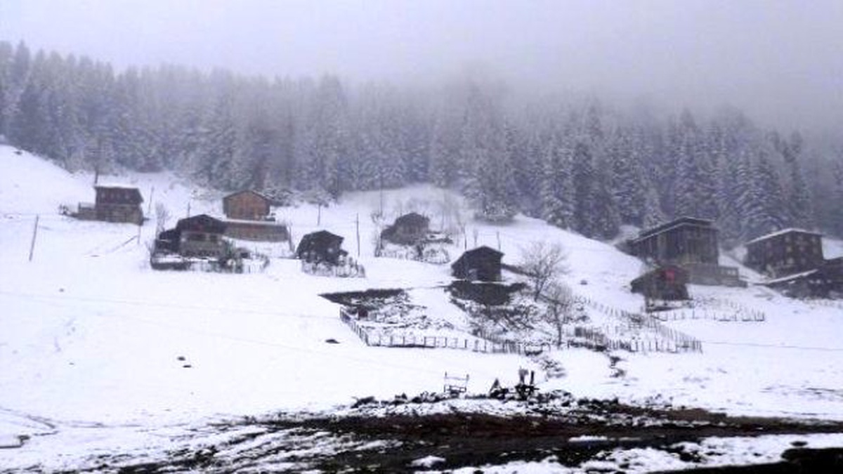 Rize\'ye Baharda Yağan Kar Çaya Zarar Verdi