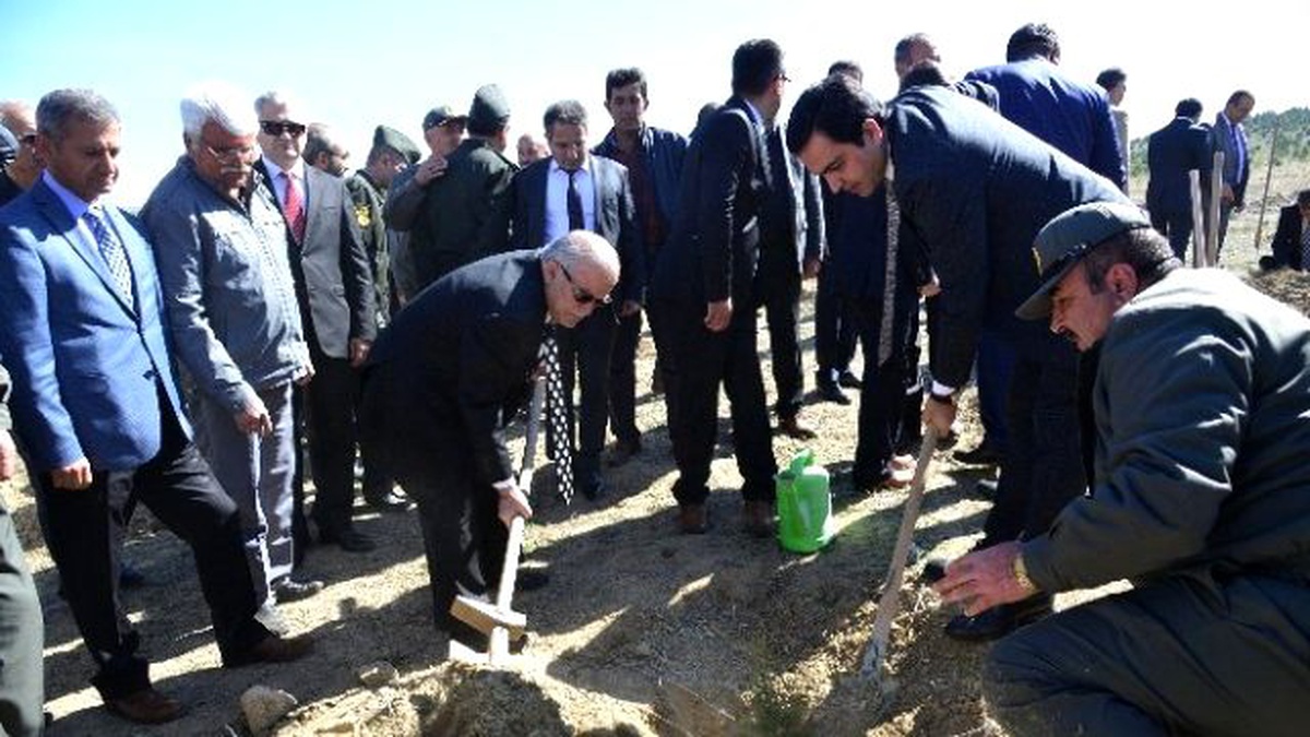 Şehitler Ormanına Fidan Dikimi Yapıldı