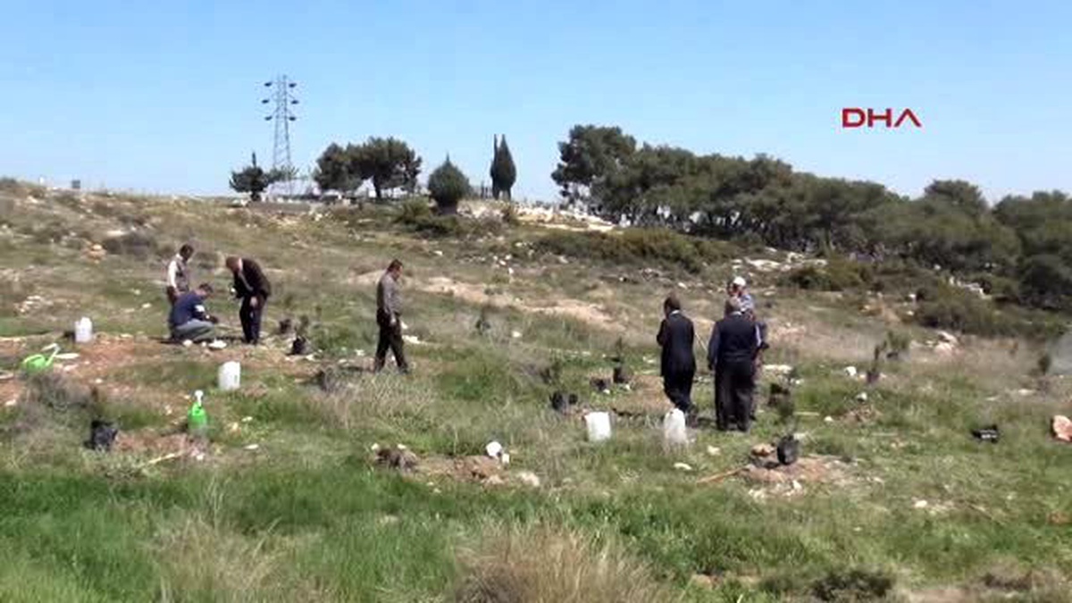 Tarsus Toma Bu Kez Fidanlara Can Suyu Verdi