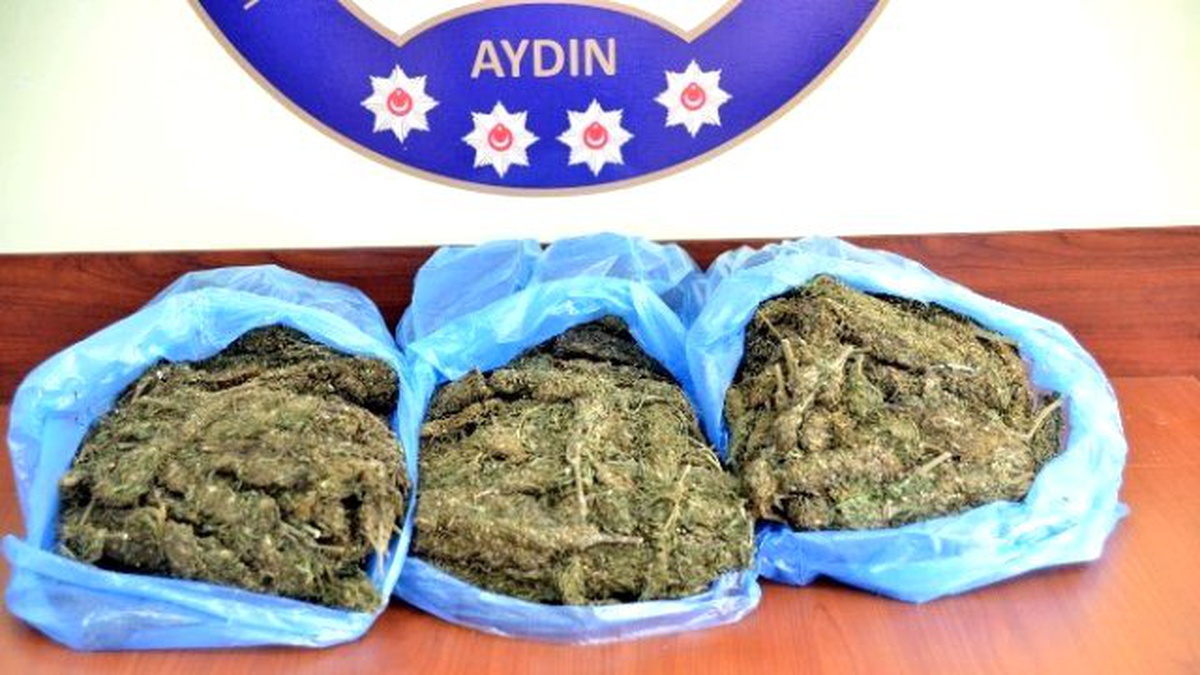 Yolcu Otobüsünde 4,8 Kilo Esrar Ele Geçirildi