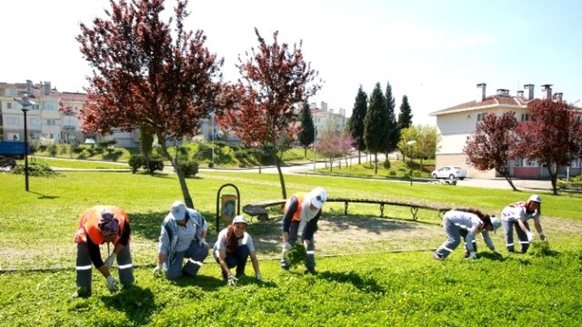 Adapazarı Belediyesi Yenikent Bölgesinde Çim Biçme İşlemerine Başladı