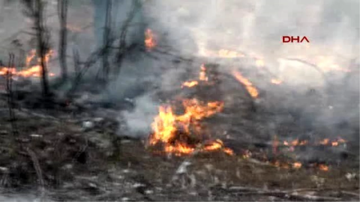 Antalya Orman Yangınıyla Mücadele Filosu Hazır