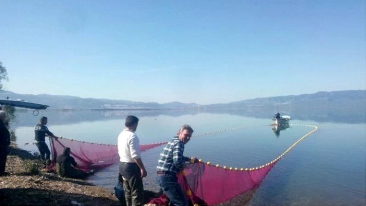 İznik Gölü\'nde Gümüş Avı Başladı