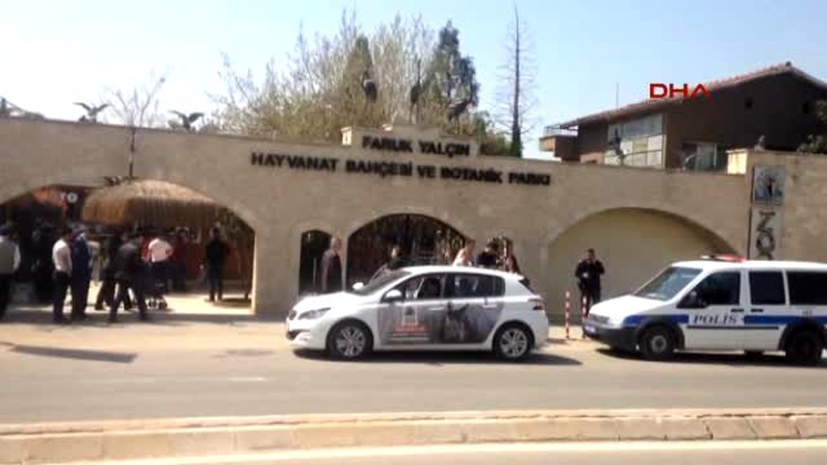 Kocaeli - Teyzesinin Omuzlarına Alarak Çitlerin Yanına Yanaştırdığı Çocuğa Kaplan Pençe Attı