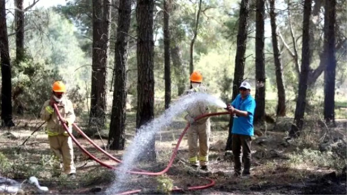 Orman Yangınıyla Mücadele Filosu Hazır (2)