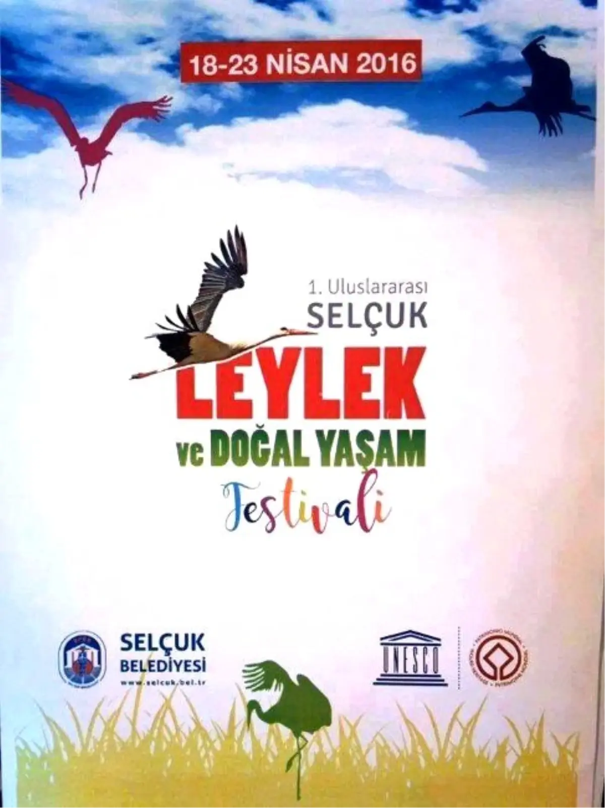 Selçuk\'ta Uluslararası Yeni Bir Festival Başlıyor