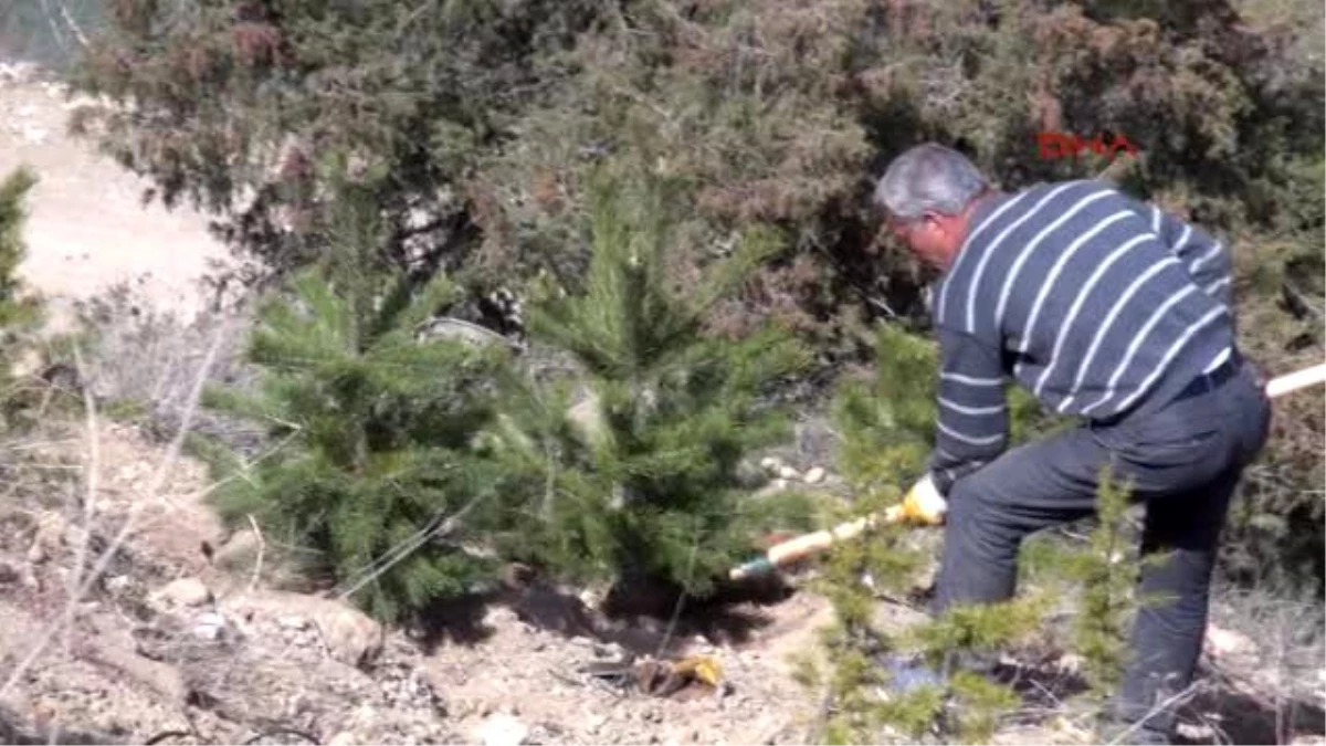 Tunceli Barosu Tahir Elçi, Anısına Barış Ormanı Oluşturdu