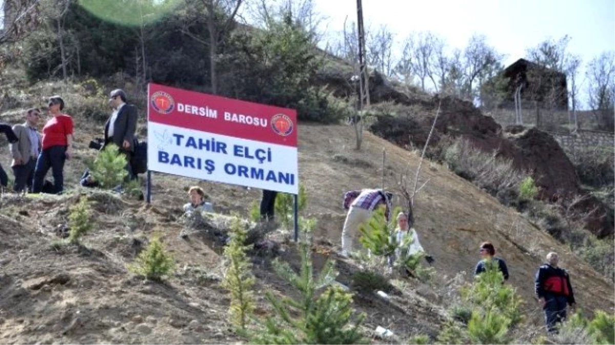 Tunceli\'de Tahir Elçi İçin Barış Ormanı