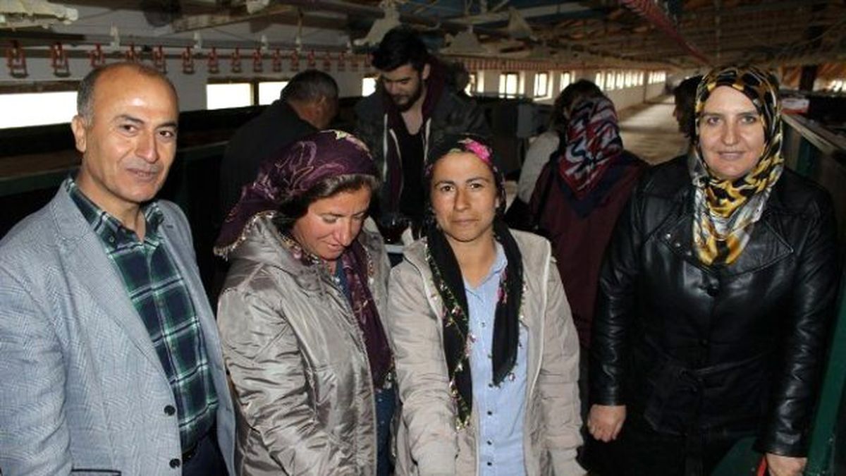 Tutlu Kadın Çiftçiler Solucan Gübresi Üretiyor