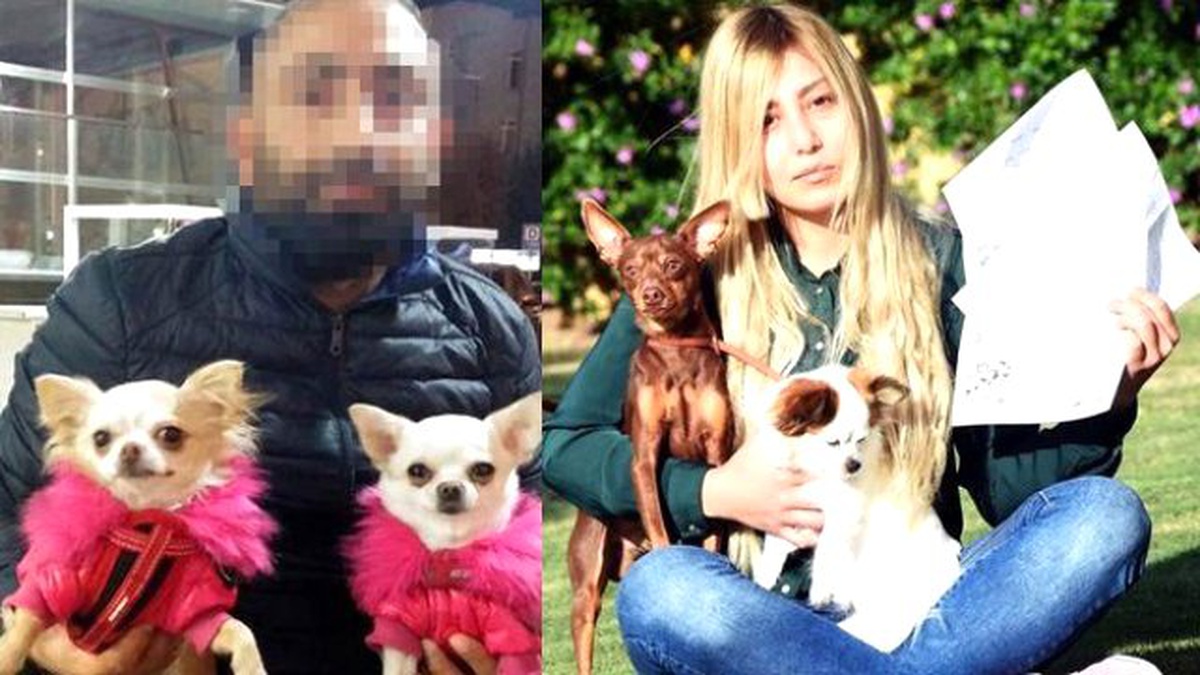 Üniversiteli Kız ile Köpek Yetiştiricisi Davalık Oldu