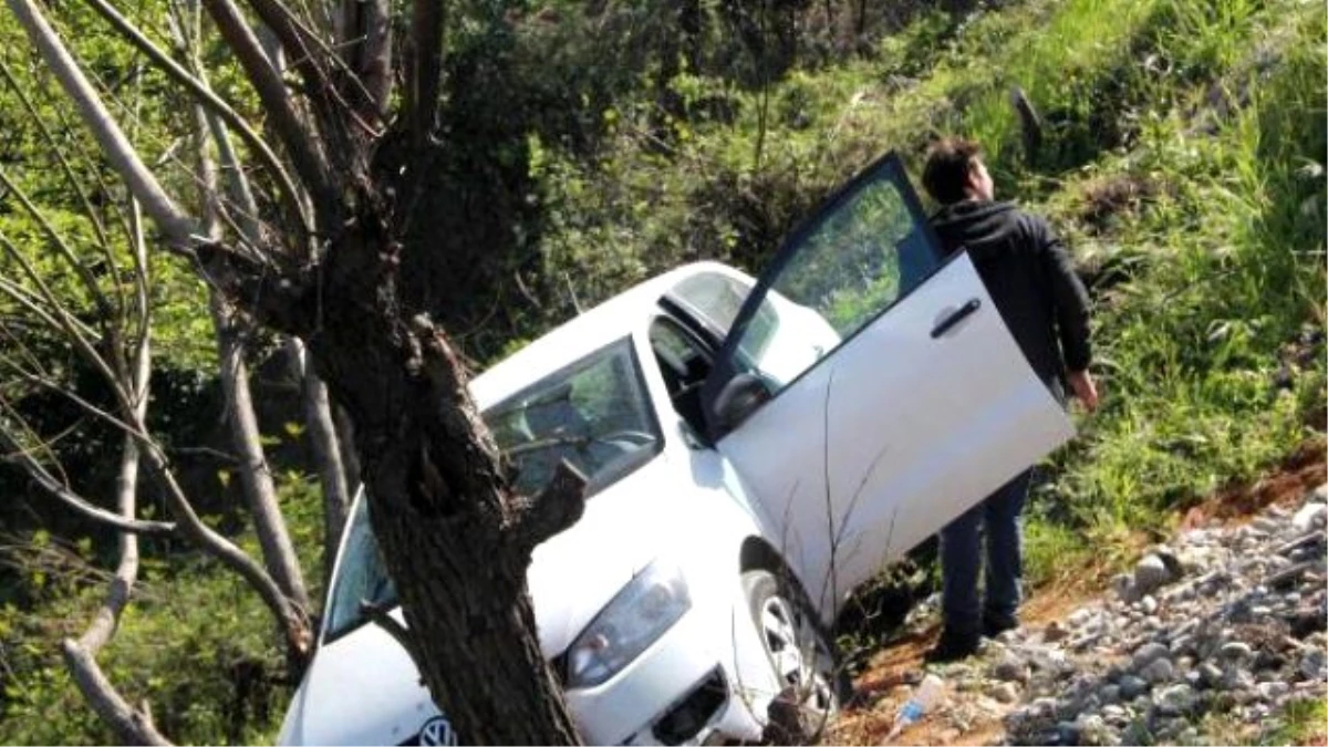 Yamaçtan Uçan Otomobil Ağaca Çarptı, Sürücü Yara Almadı