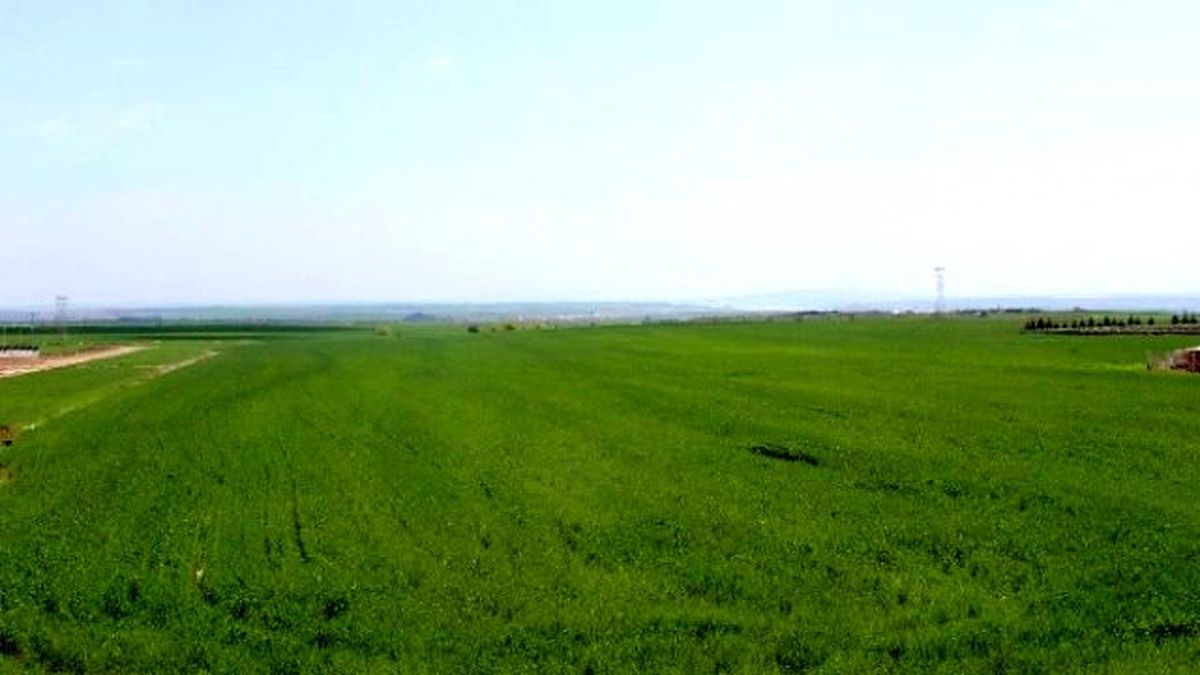 Adıyaman'da Kuraklık Endişesi