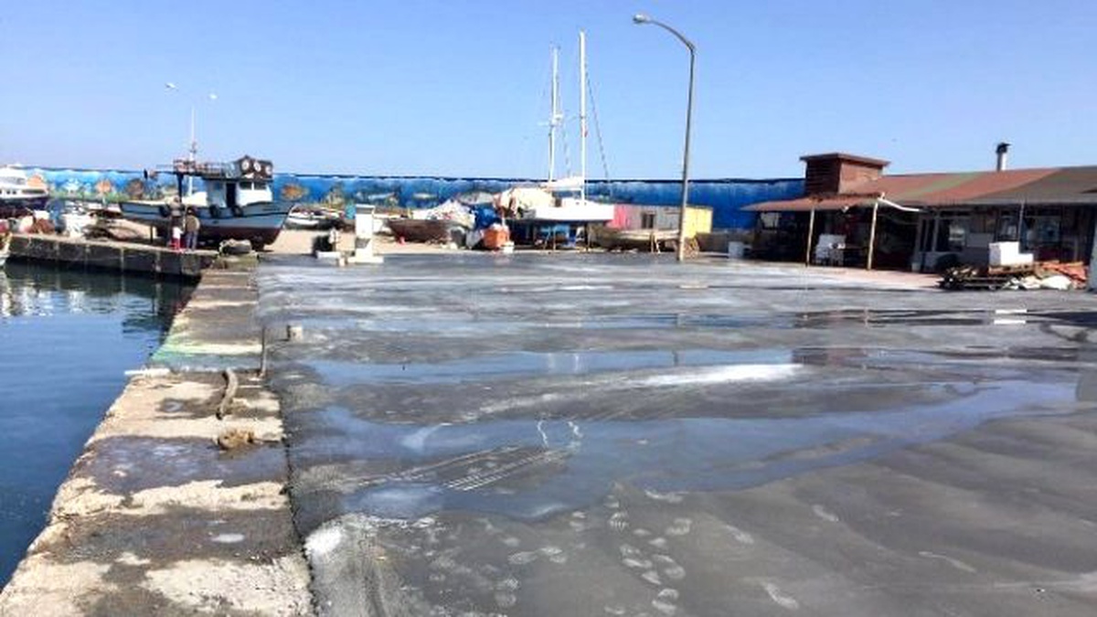 Akçakoca\'nın Balıkçıları Limana Sahip Çıktı