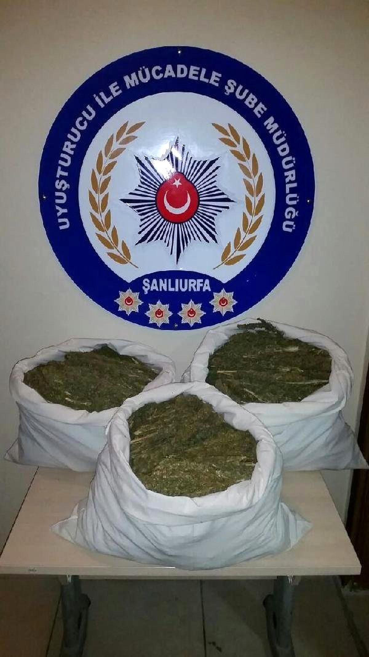 Şanlıurfa'da Otomobilde 32 Kilo Esrar Ele Geçirildi